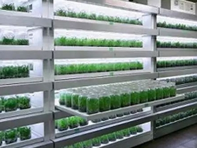麻豆精品一区二区三区实验室