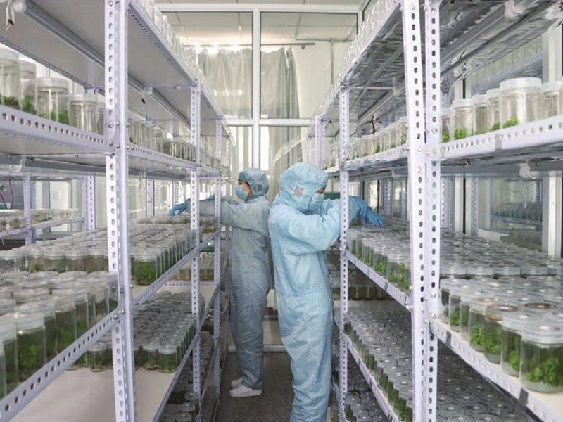 麻豆精品一区二区三区室11