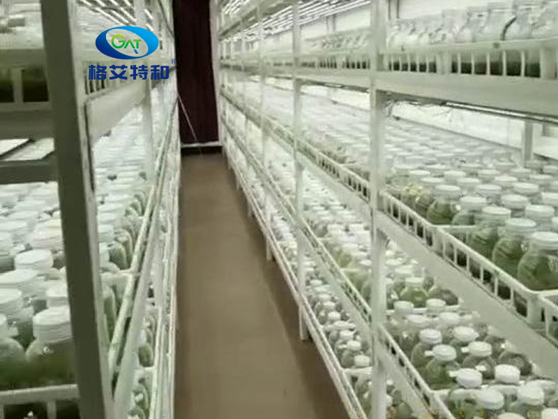 麻豆精品一区二区三区架,培养架