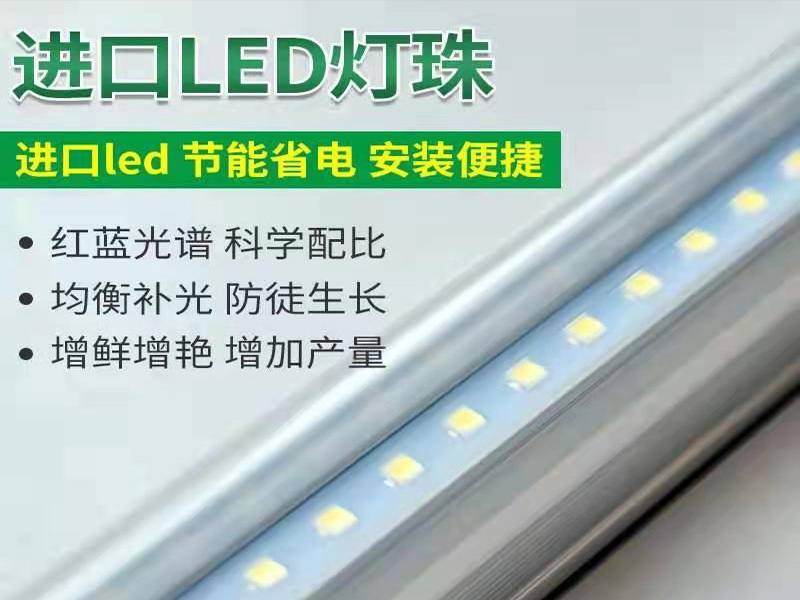 麻豆精品一区二区三区灯