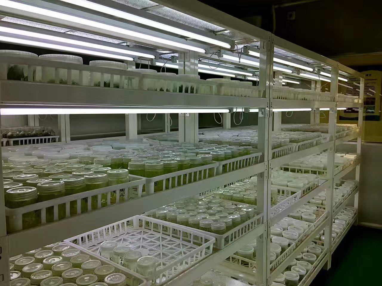 麻豆精品一区二区三区室设计建设