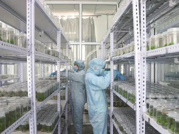 麻豆精品一区二区三区设计建设