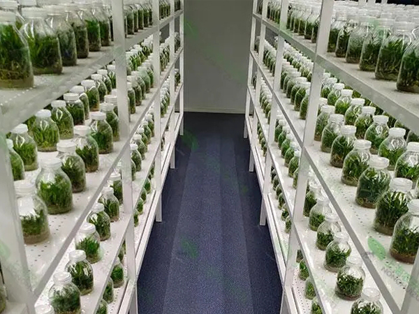 麻豆精品一区二区三区室设计建设