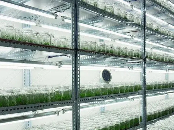 麻豆精品一区二区三区室设计